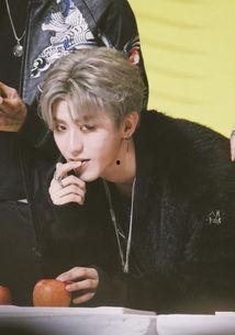 明星手指人图片,明星风采瞬间捕捉