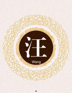 汪姓网红,网络红人的魅力与影响力