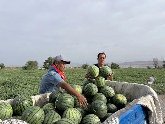 每天分享吃瓜,跟随我们一起品尝生活百味