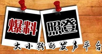 新闻爆料平台江苏,聚焦民生，传递社会正能量