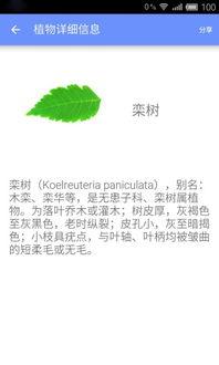 头条手机拍照识植物,头条手机拍照识植物功能解析