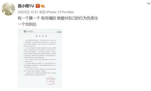 被网红黑怎么声明,如何巧妙发布声明捍卫个人名誉