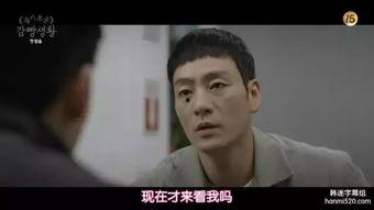 明星菊花遭指检,真相与争议的交织