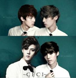 勋鹿贴吧爆料最新消息,最新动态揭秘，粉丝热议不断！