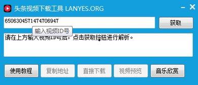 头条视频下载软件哪个好,头条视频下载软件，哪个才是最佳选择？