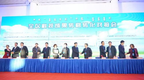 新闻头条科技成果转化,创新驱动发展新篇章