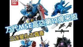 玩高达的明星,揭秘玩高达的明星圈层