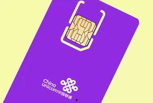 头条阿里免流,畅享高速网络，轻松解锁流量畅游