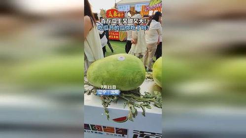 瓜节怎么吃,解锁各式瓜果的独特吃法