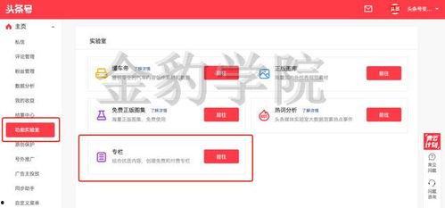 头条上的专栏怎么样,揭秘行业趋势与未来走向