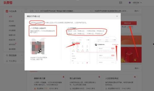 怎么才能申请做头条号,如何成功申请成为头条号创作者