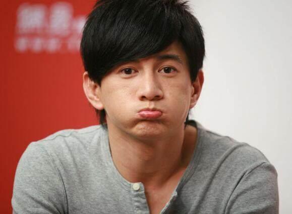 男明星费费,闪耀舞台的璀璨星辰