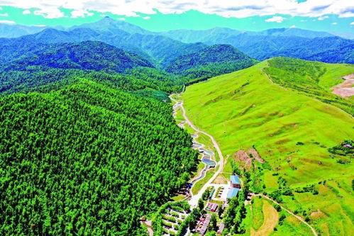 康乐竹子沟网红景点图片