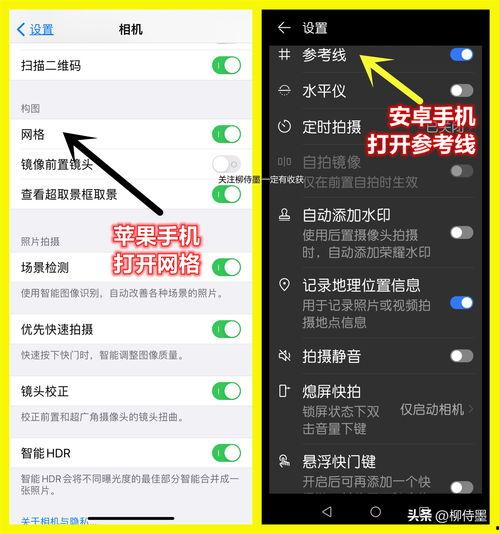 头条拍照怎么拍效果好,轻松拍出高质量照片的秘诀
