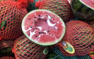 月亮吃瓜群众,揭秘神秘月宫生活