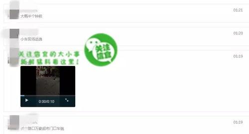 网络最新爆料视频大全,视频大全背后的惊人真相