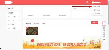 头条号用户账号怎么查询