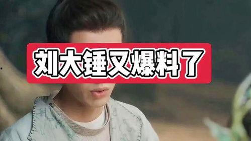 刘大锤早期爆料图片视频,独家图片视频揭秘幕后真相