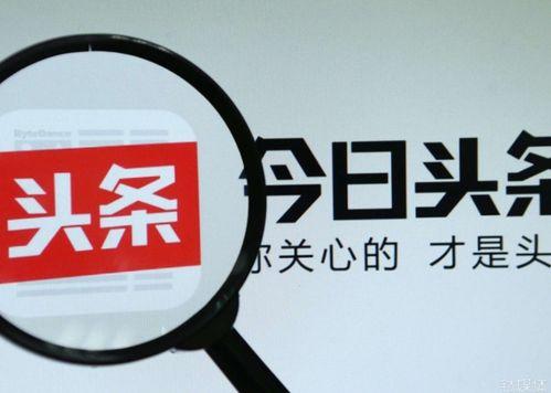 莞集头条号运营,深度解析本地热点，带你领略莞城风采