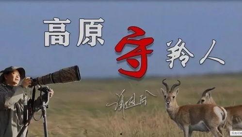 大驴爆料胜仔视频大全下载,胜仔视频大全独家下载攻略