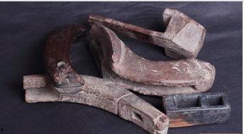 龙鳞怎么看新老料,新老料生成之谜探究