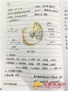 明星做笔记,生活点滴与灵感火花