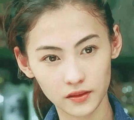 明星中间带血的明星,揭秘中间带血明星的传奇人生