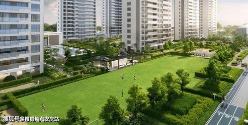 宁波绿城小区最新爆料