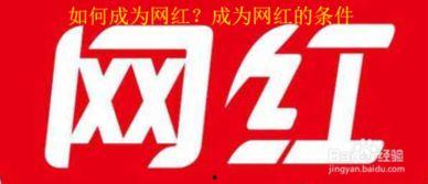 成为网红的条件,打造个人品牌之路