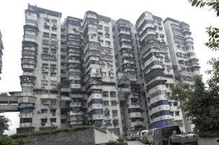 安阳网红电梯事件,一场意外引发的舆论风暴