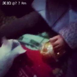 农村猫咪吃瓜视频,萌态十足，网友直呼可爱爆表！