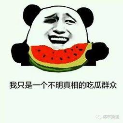 网上说的吃瓜什么意思,吃瓜背后的真相与趣味