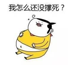倔强式单身娱乐吃瓜酱,吃瓜酱的欢乐生活点滴